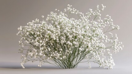 Baby's breath adding airy elegance to bouquets