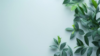 Wall Mural - Light blue background with green leaves.