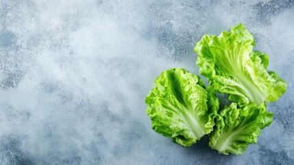 Sticker - Fresh green lettuce leaves on a blue background.