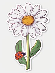 Wall Mural - A white daisy with yellow center, green leaves, and a ladybug on a white background.