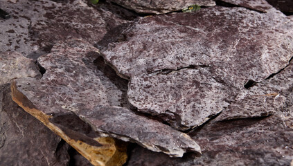 Poster - High-Resolution Close-Up of Textured Wet Rocks with Natural Patterns