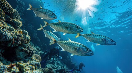 Poster - School of Fish Swimming Near Coral Reef