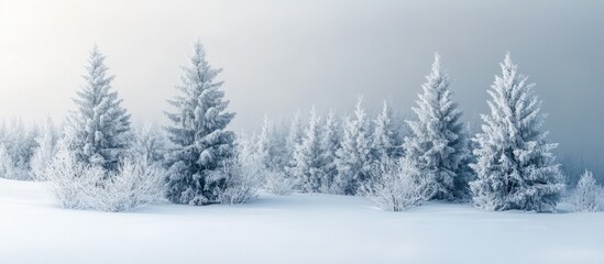 Sticker - Snowy Forest Landscape