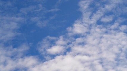 Wall Mural - Time-lapse of Altocumulus Fluffy white clouds drift lazily across a vast, clear blue sky
