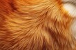 © Barra Fire - Close up of fox fur background