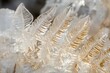 © siripimon2525 - Macro shot of ancient fern frozen in ice, highlighting delicate fronds and process of natural preservation. High-resolution, detailed textures, crisp focus