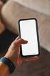 © Marcos Osorio/Stocksy - Hand holding smartphone with blank screen