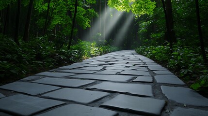 Wall Mural - Semi close-up of a stone path in a forest, sunlight streaming through leaves, peaceful nature scene, more clarity with clear light and sharp focus, high detailed