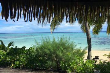 beach with palm trees and sea