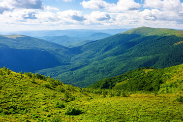 carpathian alpine meadows in evening light. beautiful mountain landscape with grassy slopes, rolling hills and deep valleys. stunning view in to the distant open vista