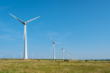 Wall Mural - Majestic Windmill Park Under Clear Skies in the Netherlands at Midday