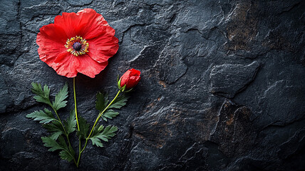 Veterans Day commemoration, American flag, dark stone background, tribute