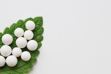 Wall Mural - Homeopathic remedy. Many round pills and green leaf on white background, top view. Space for text