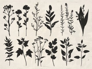 Poster - A collection of minimalist line art silhouette sketches of various botanical elements including leaves  plants  branches  and other nature inspired shapes in a clean  monochrome aesthetic