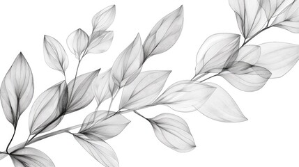 Poster - Elegant and Delicate Line Art of Stem and Leaf Patterns with a Wispy Ethereal and Minimalist Aesthetic  Serene Calming and Botanical Themed Graphic Backgrounds Perfect for Nature Inspired Designs