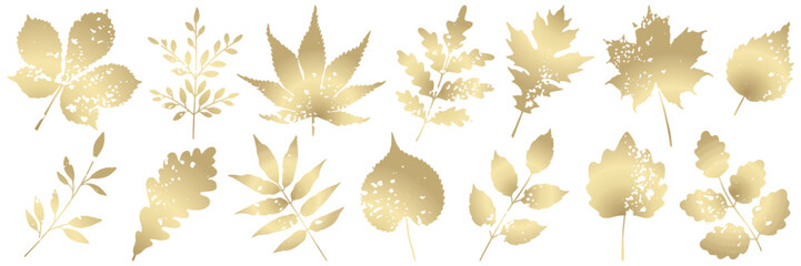 Autumn golden leaves and branches with texture. Set of vector botanical plant elements for background, wallpaper, card, pattern, print