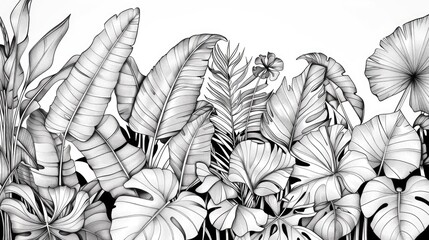 Poster - Lush botanical line art contour drawing of detailed tropical leaves foliage and floral patterns in a modern minimalist black and white style  A natural