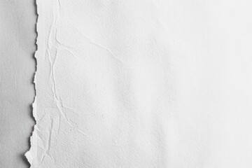 Poster - A close-up shot of a torn piece of paper with rough edges and a distressed look