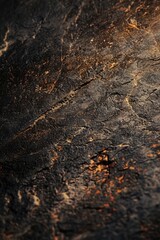 Poster - A close-up shot of a piece of black rock with unique texture and pattern