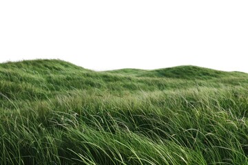 Poster - Field of lush green grass under a clear blue sky