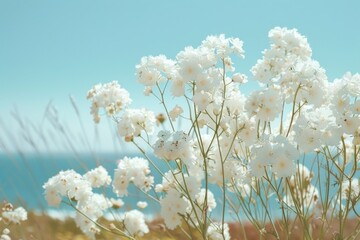 Poster - A group of white flowers grows in a lush green field, perfect for a serene and peaceful atmosphere