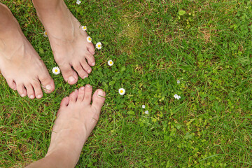 Canvas Print - Women walking barefoot on green grass outdoors, top view. Space for text