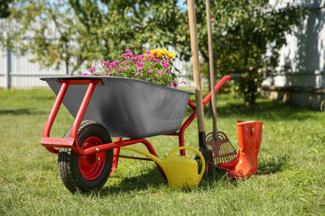 Wall Mural - Wheelbarrow with different beautiful flowers, rubber boots and gardening tools outdoors