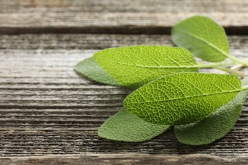 Wall Mural - Fresh sage leaves on wooden table, closeup. Space for text