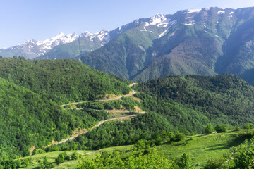 Wall Mural - A winding mountain road descends from a hill into a gorge. The hills are covered with trees and bushes. Snow capped mountain peaks are in the background