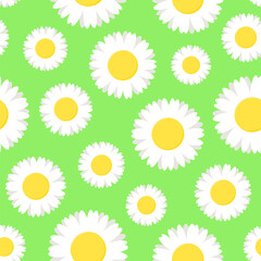Wall Mural - White and yellow stylized chamomile flowers on green background. Vector seamless pattern. Best for textile, wallpapers, wrapping paper, package and your design.