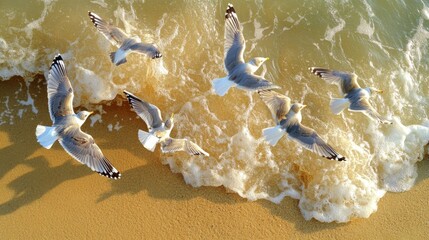 Wall Mural - Surfing waves on a sandy beach with seagulls flying overhead creates a picturesque aerial view.