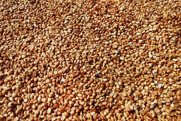 Wall Mural - Close up of coffee beans for background          