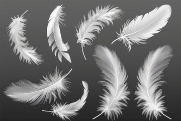 Poster - A close-up shot of white feathers arranged on a dark background