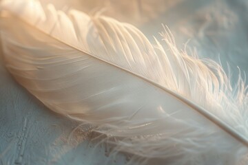 Poster - A close-up shot of a single white feather on a table