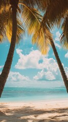 Wall Mural - Vintage stylized with film light leaks palm tree on tropical beach