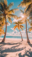 Wall Mural - Beautiful sea on a sunny day, there is an arch of a coconut tree, frame covered and shaded on the sandy beach, Travel vacation background concept, Summer beach with sunny sky Phuket, Thailand.