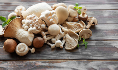 Wall Mural - Assortment of various mushrooms