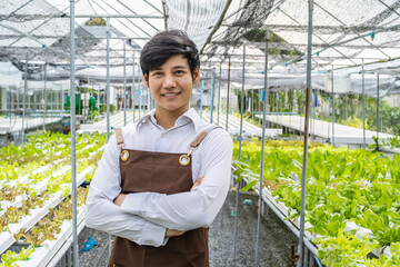 Smiling Asian man farmer working in organic vegetables hydroponics farm. Successful male hydroponic salad vegetable garden owner standing in greenhouse plantation for healthy food. Small business