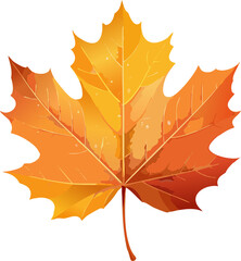 Wall Mural - Autumn Maple Leaf, Isolated Transparent Background