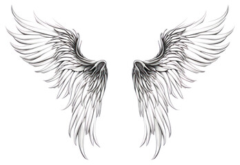 Canvas Print - PNG Drawing sketch angel illustrated.