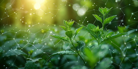 Wall Mural - A green plant with a network of lines surrounding it