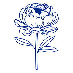 Wall Mural - A blue outline of a peony flower with leaves