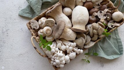 Wall Mural - Assortment of various raw mushrooms