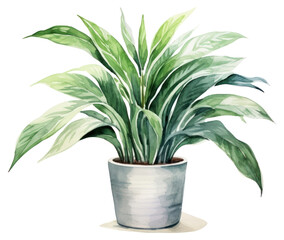 Canvas Print - PNG Plant houseplant leaf freshness.