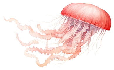 Poster - PNG Jellyfish transparent underwater animal.