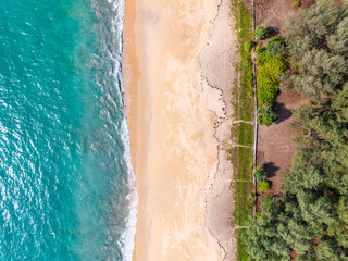 Wall Mural - Beautiful sandy beach and waves in sunny day,Beach sea space area nature background