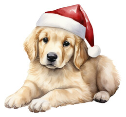 Sticker - PNG Puppy retriever mammal animal.