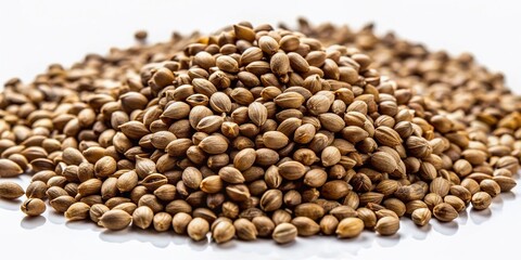 Poster - Close-up of hemp seeds scattered on a pure white background, showcasing their natural brown color and unique texture in high contrast and sharp focus.