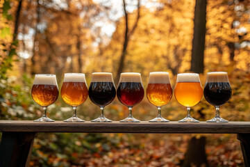 Poster - Artisanal Craft Beer Variety in a Casual Autumn Forest Park Setting  