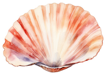 Wall Mural - PNG Beach seashell seafood clam.